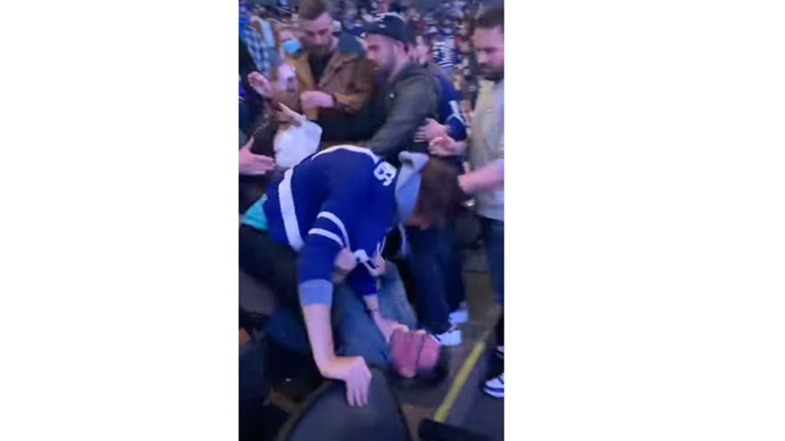 Leafs and Red Wings fans throw down in the stands following last night's game
