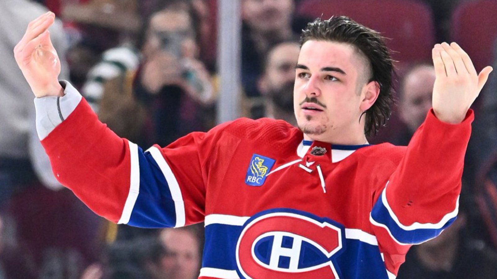 NHL Player Safety comes down on Habs, Capitals and 2 players.
