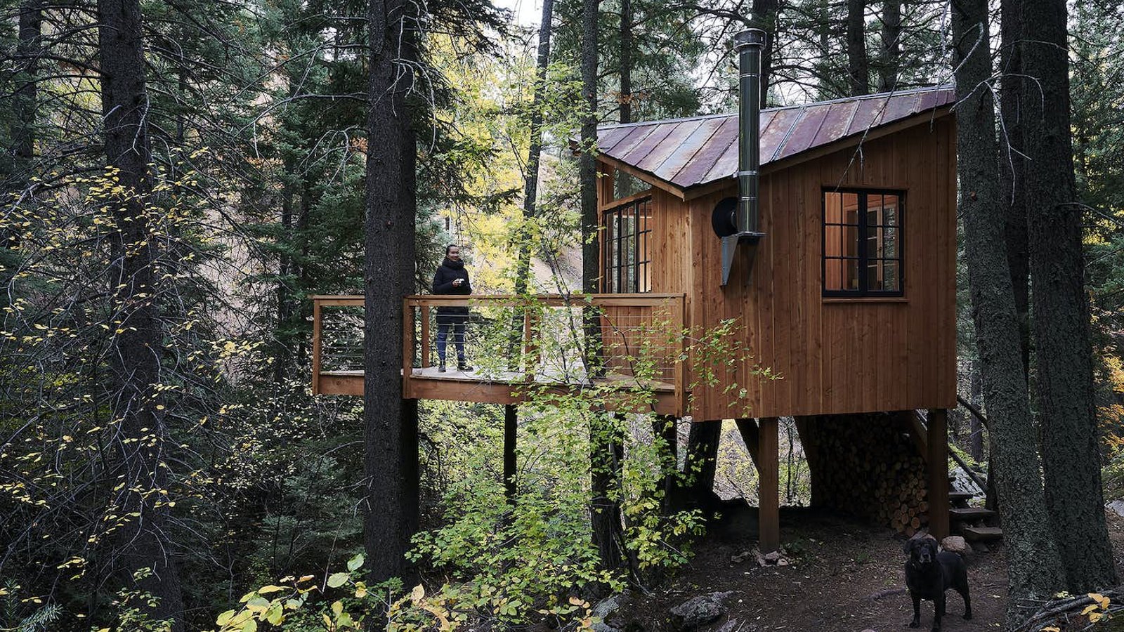 Après avoir été confinée pendant la pandémie, une famille a décidé de se construire une petite cabane en plein cœur d’une forêt 