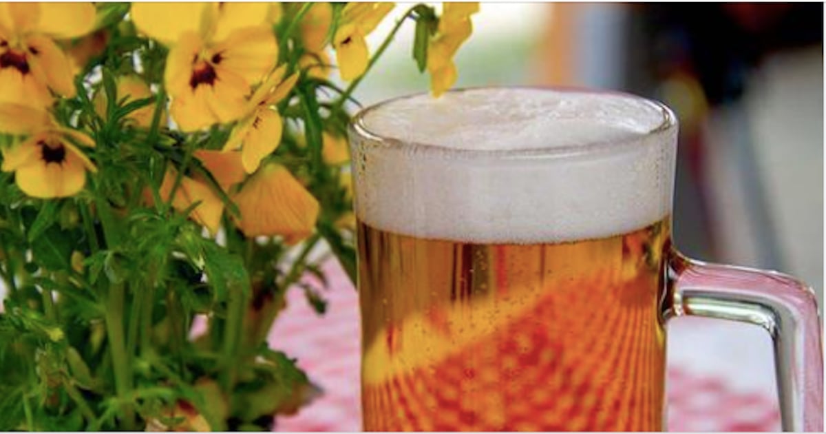 9 façons surprenantes d’utiliser de la bière périmée Trucs et Bricolages