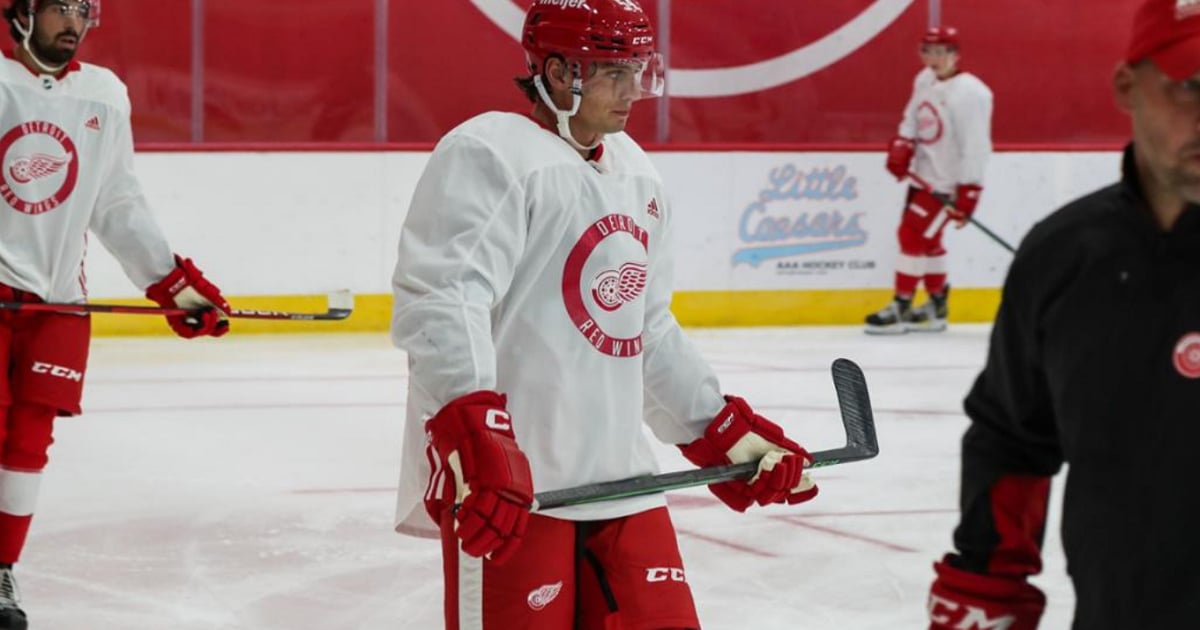 Maple Leafs sign former Detroit Red Wings draft pick. HockeyFeed