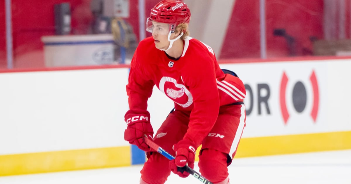 Red Wings Confirm Plans For Simon Edvinsson - HockeyFeed