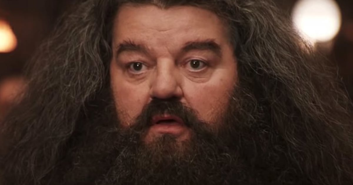 Robbie Coltrane, L'acteur Qui Incarnait Hagrid Dans Harry Potter, Est ...