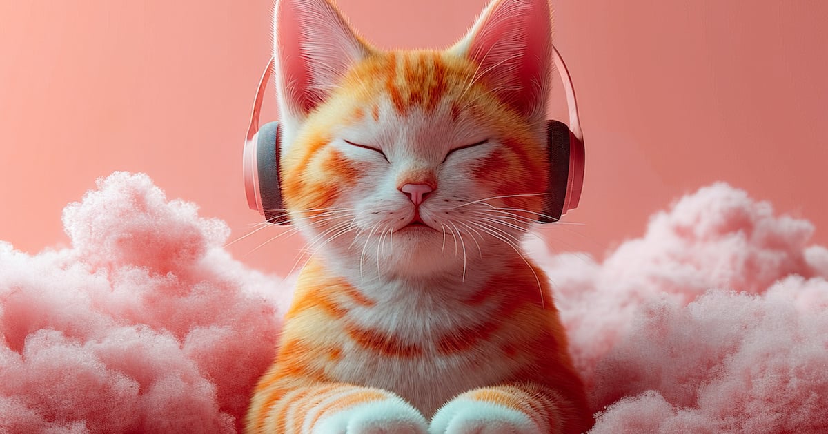 Le chat reconnaitil la voix de son maître ? Pas Bêtes Du Tout