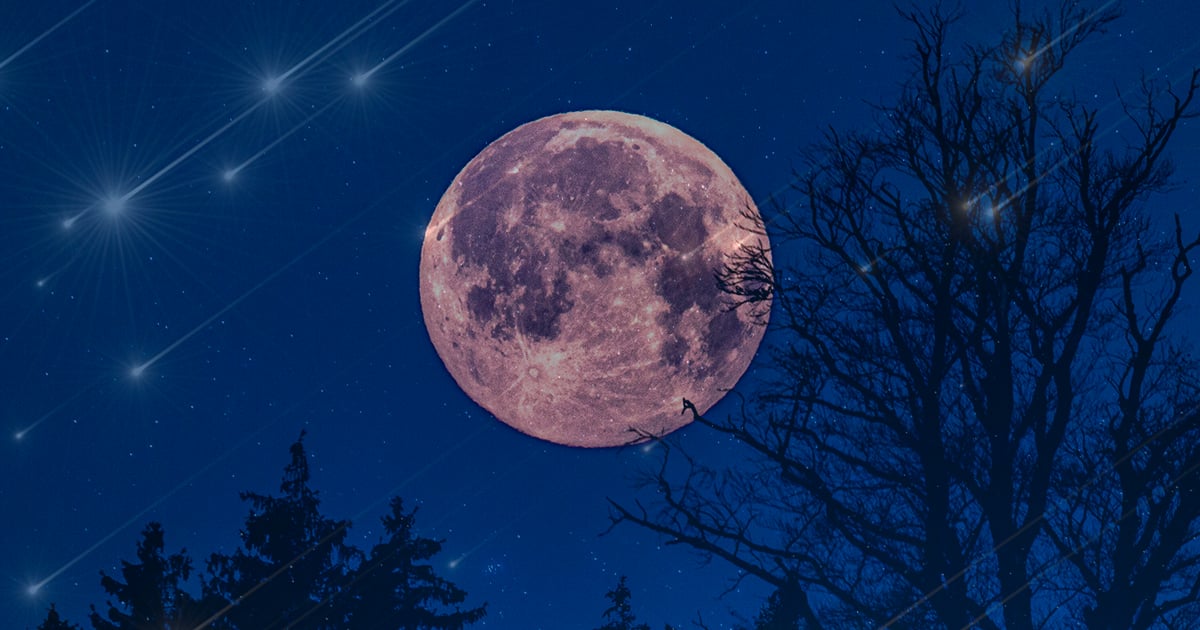 Deux phénomènes spectaculaires sont au menu dans le ciel cette semaine