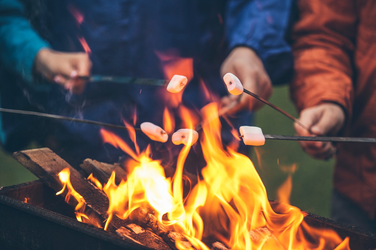 Interdiction de feux à ciel ouvert en forêt ou à proximité dans plusieurs régions  