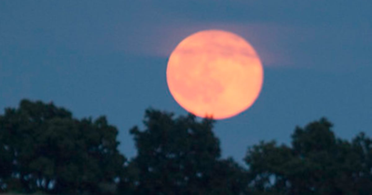 La pleine lune des fraises aura lieu cette semaine et voici tout ce qu'il faut savoir