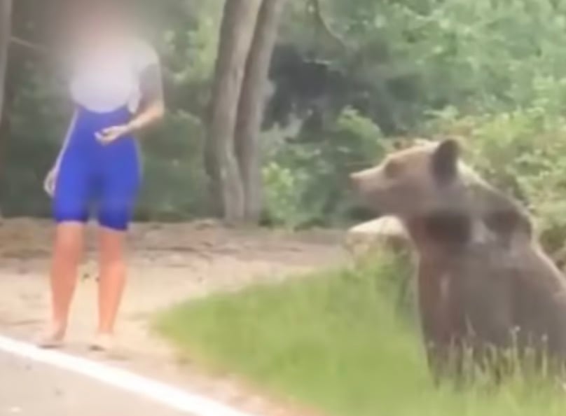 Une femme tente de prendre un selfie avec un ours et ça tourne au cauchemar.