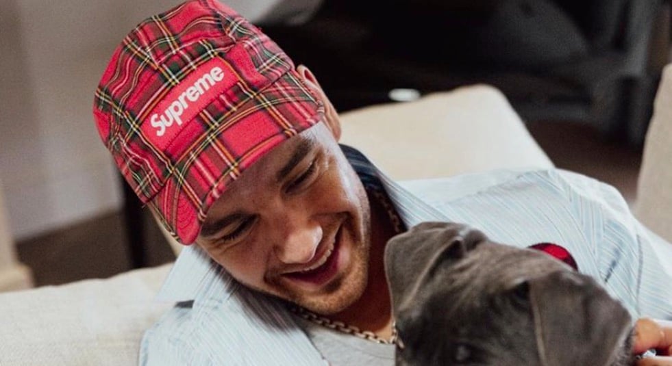 La famille de Liam Payne brise le silence après son décès tragique
