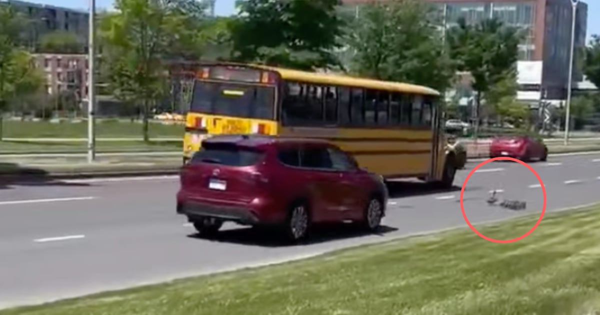 Un automobiliste semble écraser des canards et son geste divise les Québécois