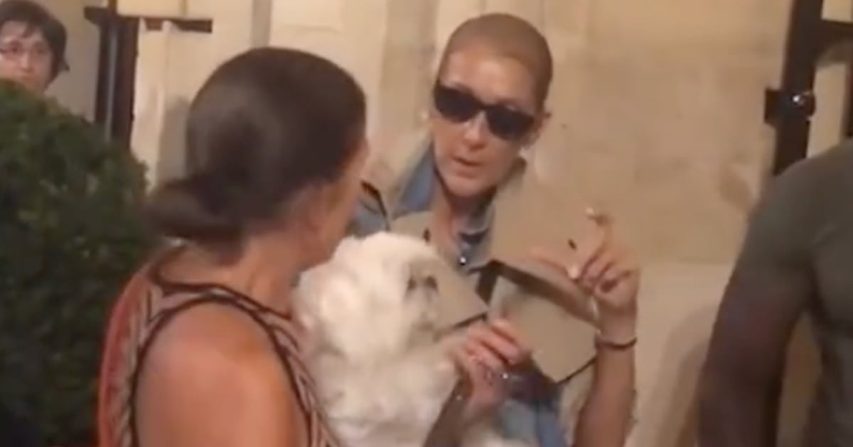 Une femme perd complètement ses moyens en recontrant Céline Dion à Paris
