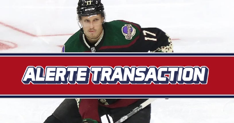 Les Oilers font l'acquisition d'un attaquant format géant
