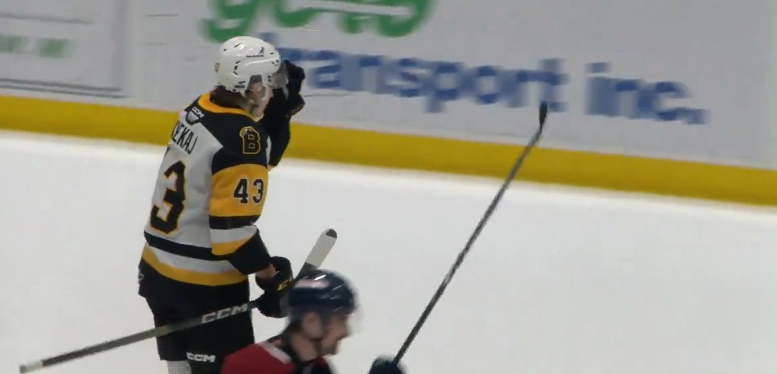 Florian Xhekaj est en feu dans la OHL