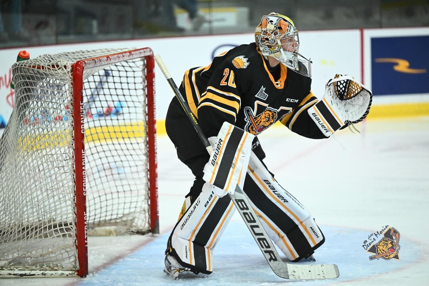 Gabriel D'Aigle sera le premier gardien repêché Top-5 depuis Carey Price