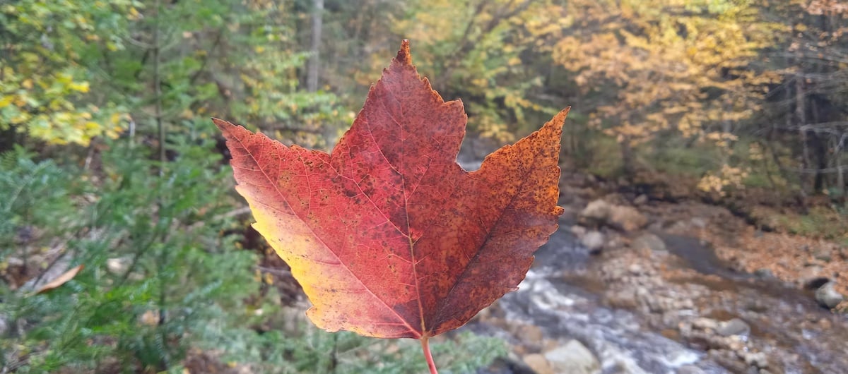 Ce que nous réserve l'automne, niveau météo