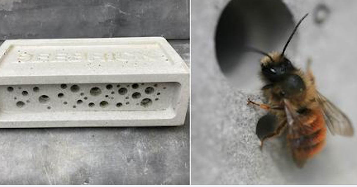 Des briques spéciales pour protéger les abeilles