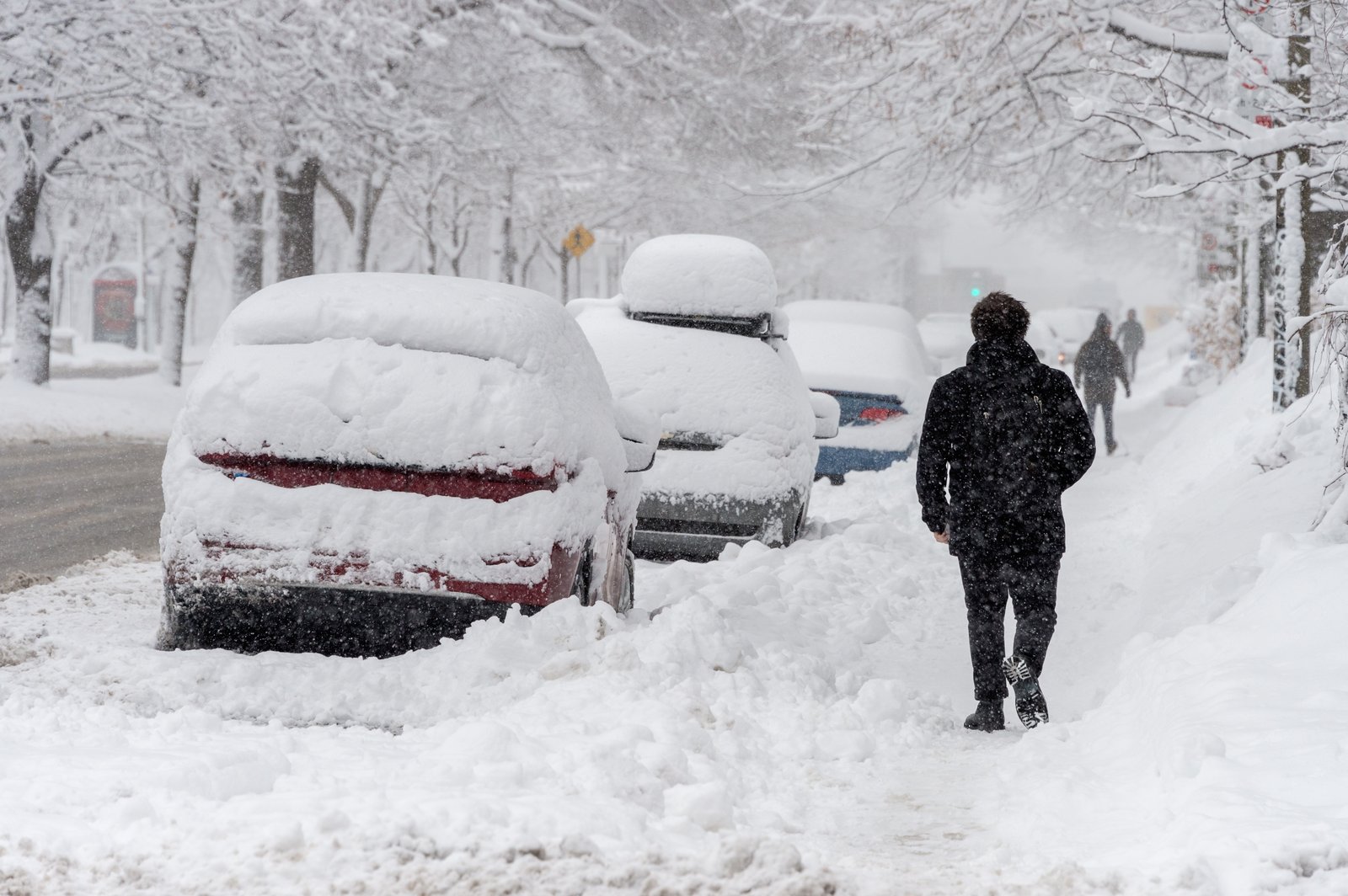 Les prévisions météo pour l'hiver qui s'en vient sont sorties et il y a un gros point négatif.