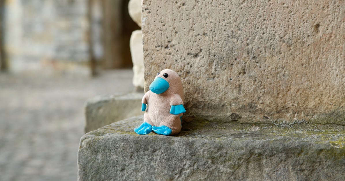 Les 10 objets inusités qui sont le plus souvent oubliés dans des endroits publiques