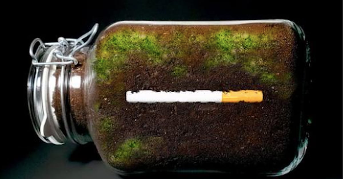 Une vidéo timelapse pour voir l'impact d'un mégot de cigarette jeté par terre