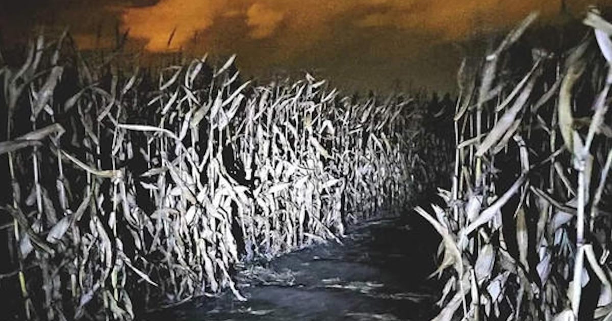 Dernière fin de semaine pour parcourir le labyrinthe de la Fraisière Lauzon
