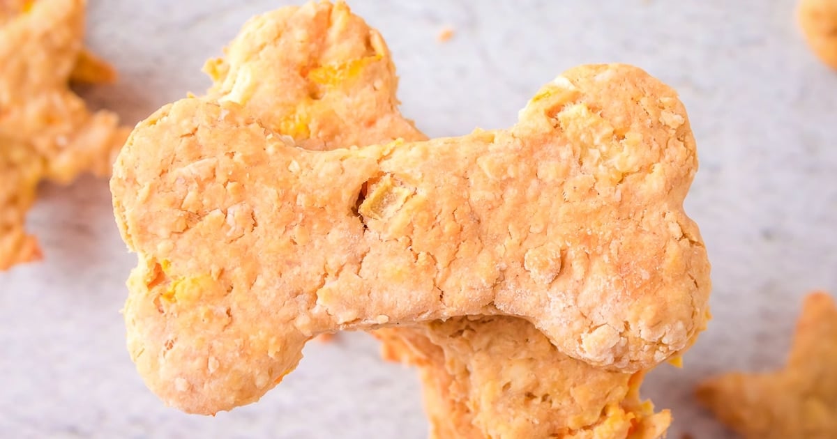 Biscuits santé pour chiens 