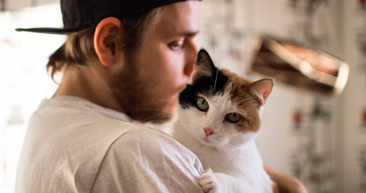10 erreurs que commettent souvent les propriétaires de chats