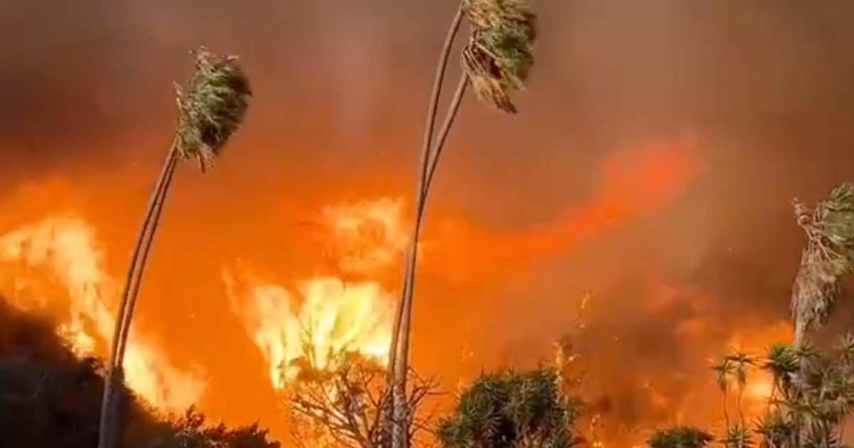 Voici pourquoi les pompiers n'utilisent pas l'eau de l'océan pour éteindre les incendies en Californie