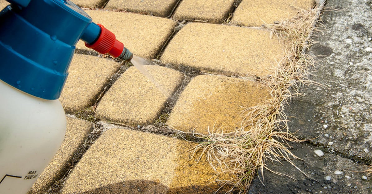 Une super méthode naturelle DIY pour arracher facilement les mauvaises herbes