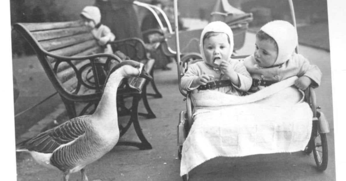 12 faits qui prouvent que la parentalité d’aujourd'hui est tout le contraire de ce qu'elle était jadis