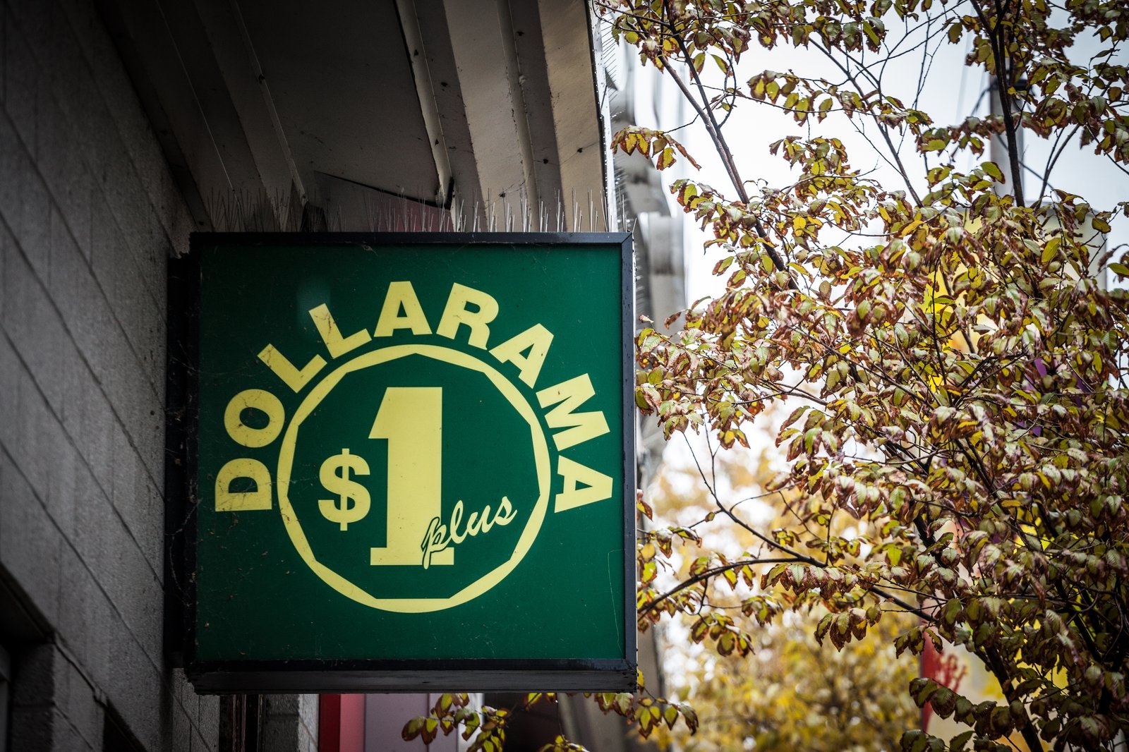 Un recours collectif autorisé contre Dollarama, la SAQ, Costco, Rona, Tigre Géant et plusieurs autres