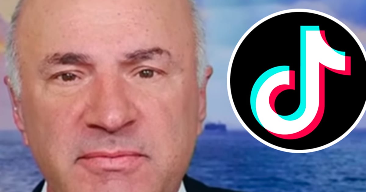 TikTok US bientôt racheté par un Montréalais ?