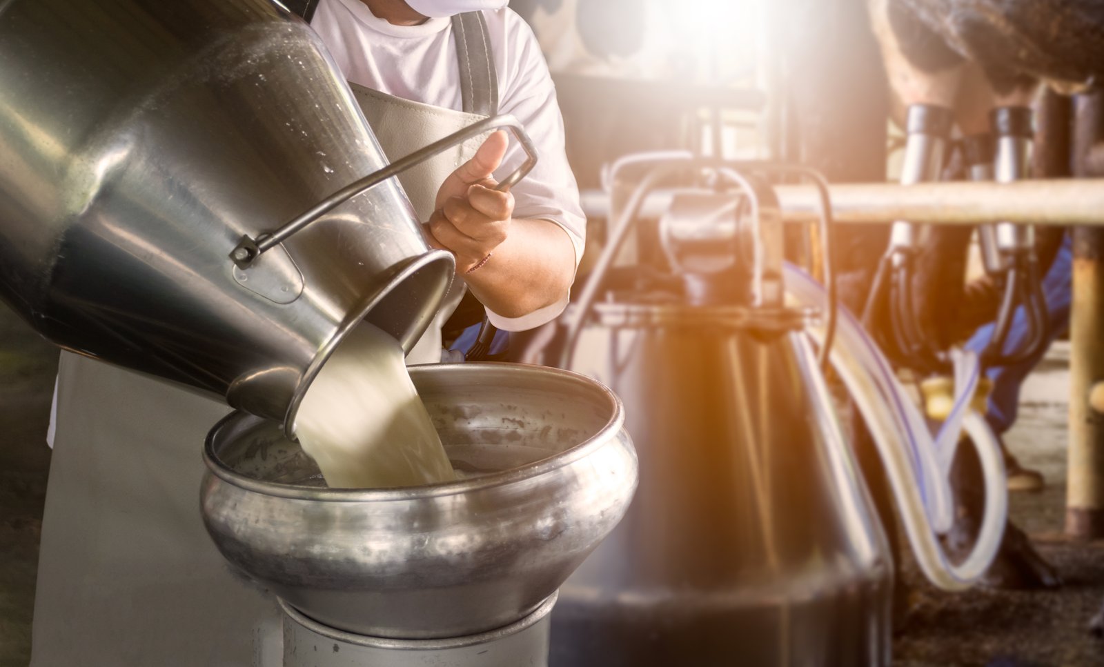 Des millions de litres de lait jetés à cause de la grève chez Agropur