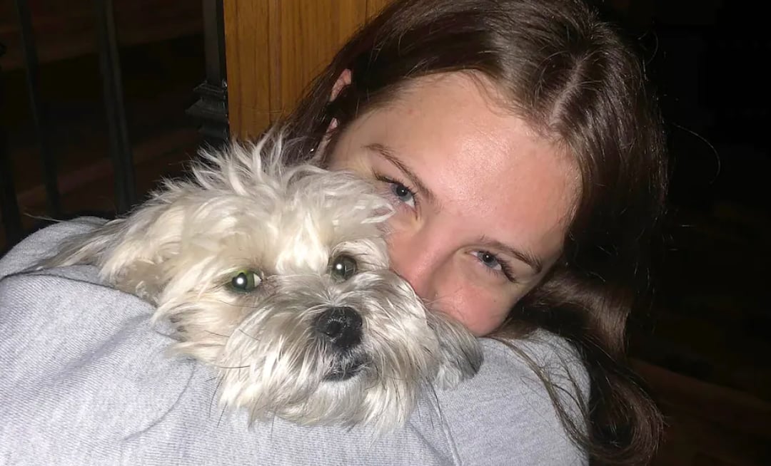 6000 $ de récompense si vous retrouvez cette petite chienne égarée