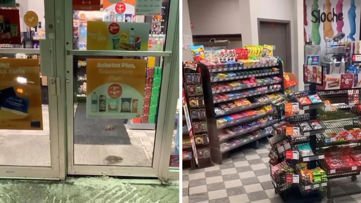 Une vidéo montre un Couche-Tard infesté de rats et c'est vraiment dégoûtant