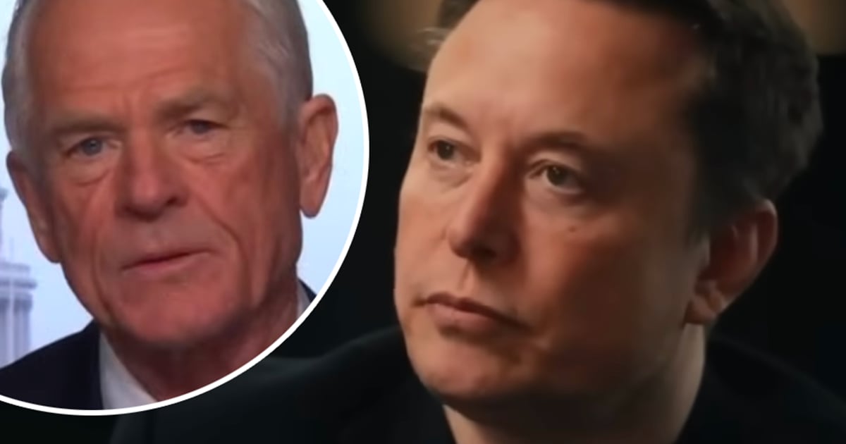 Elon Musk insulte Peter Navarro en raison de ses propos sur Tesla