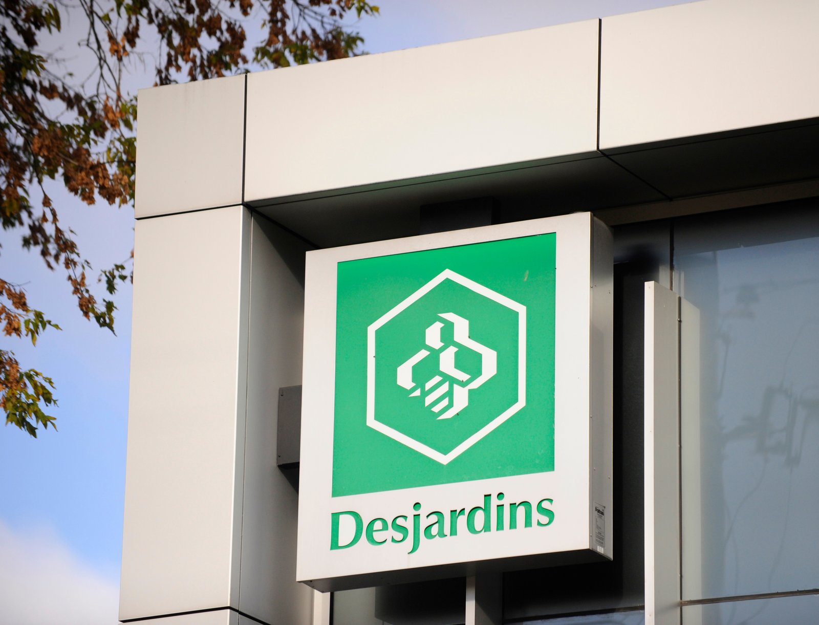 Desjardins verse présentement plus de 400 millions à ses membres 
