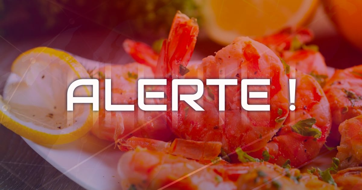 Santé Canada procède à un important rappel de crevettes qui ont rendu des dizaines de personnes malades.