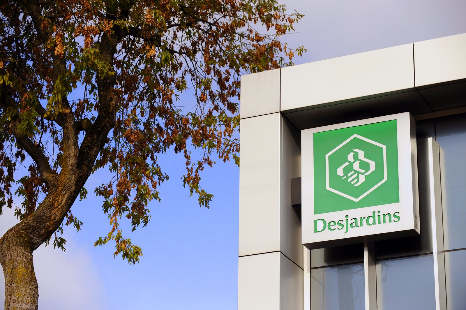Desjardins embauche à 22 $ l'heure et vous n'avez pas besoin d'expérience pour y travailler