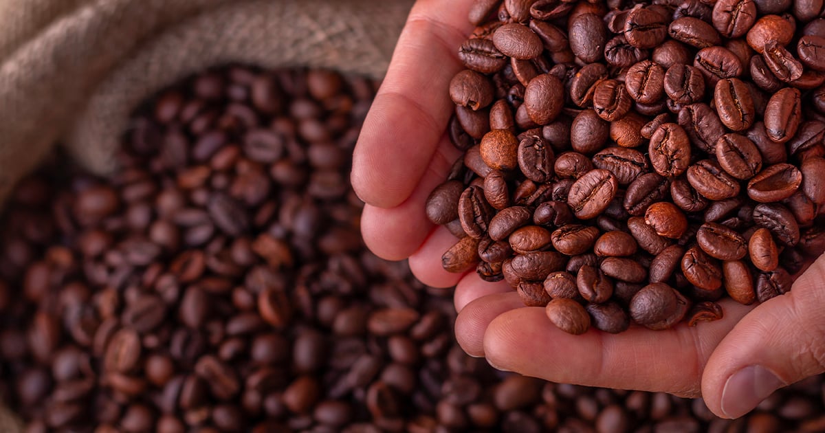 L'augmentation du prix du café fait mal aux torréfacteurs du Québec