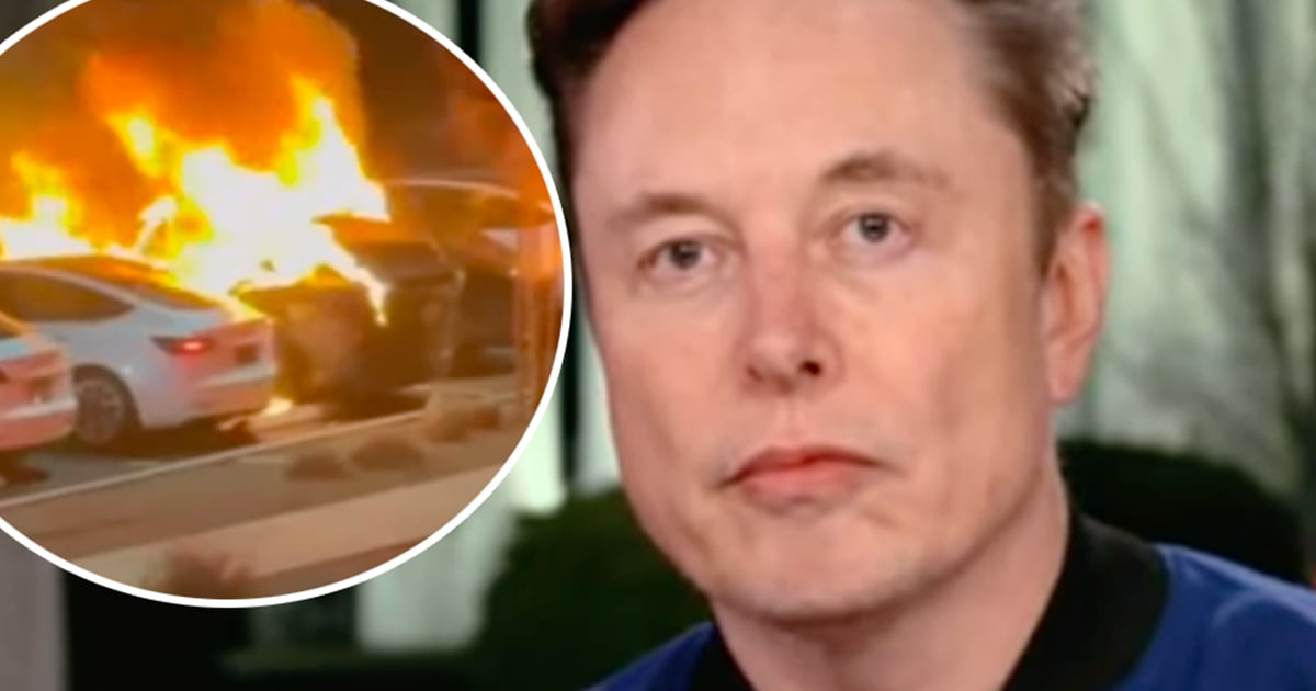 Tesla est une entreprise pacifique et ceux qui l'attaquent sont dérangés, affirme Elon Musk