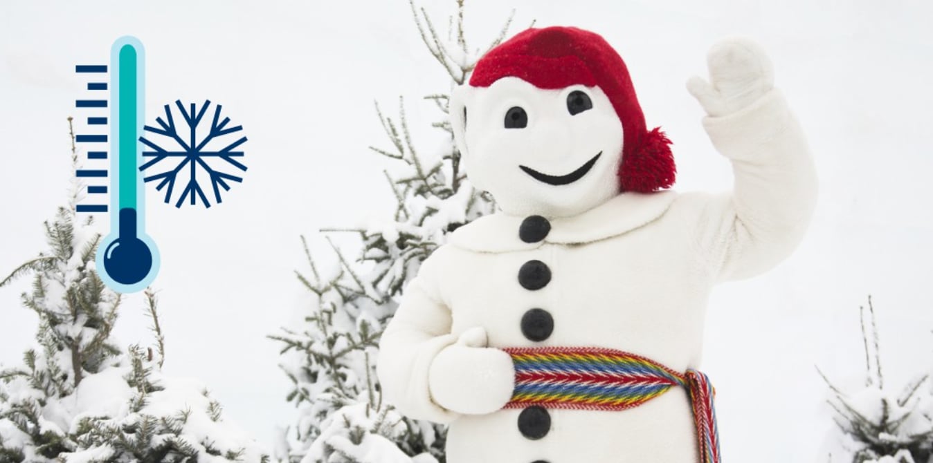 Le Carnaval Québec annule de nombreuses activités et repousse son ouverture en raison du froid glacial