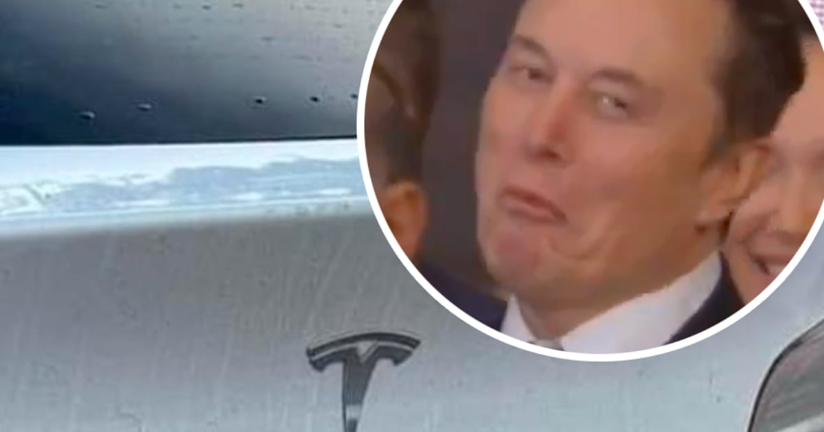 Un propriétaire de Tesla a honte d’Elon Musk et pose un geste de désespoir