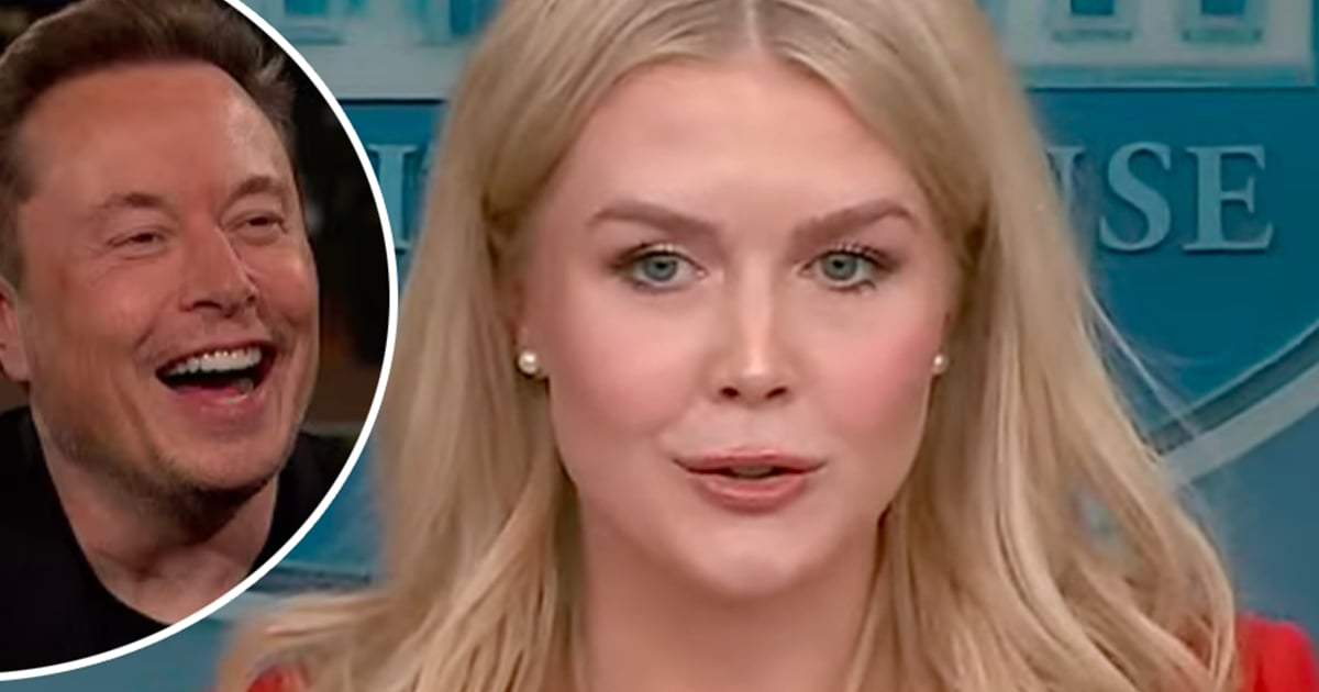 Karoline Leavitt a répondu au courriel controversé d'Elon Musk et voici ce qu'elle a écrit