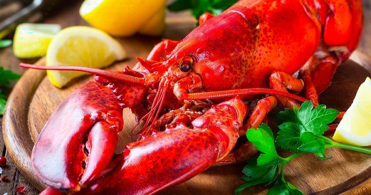 Voici le prix que vous devriez payer votre homard si jamais vous en achetez ce weekend