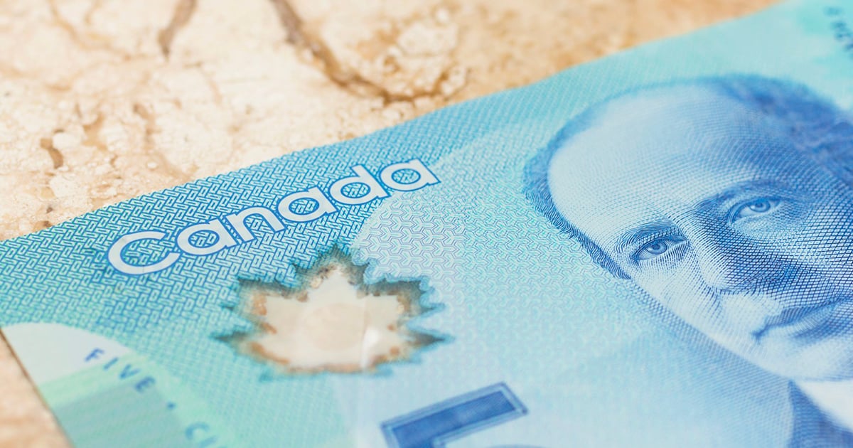 On sait désormais quel visage sera sur les prochains billets de 5 $ et c'est celui de Terry Fox