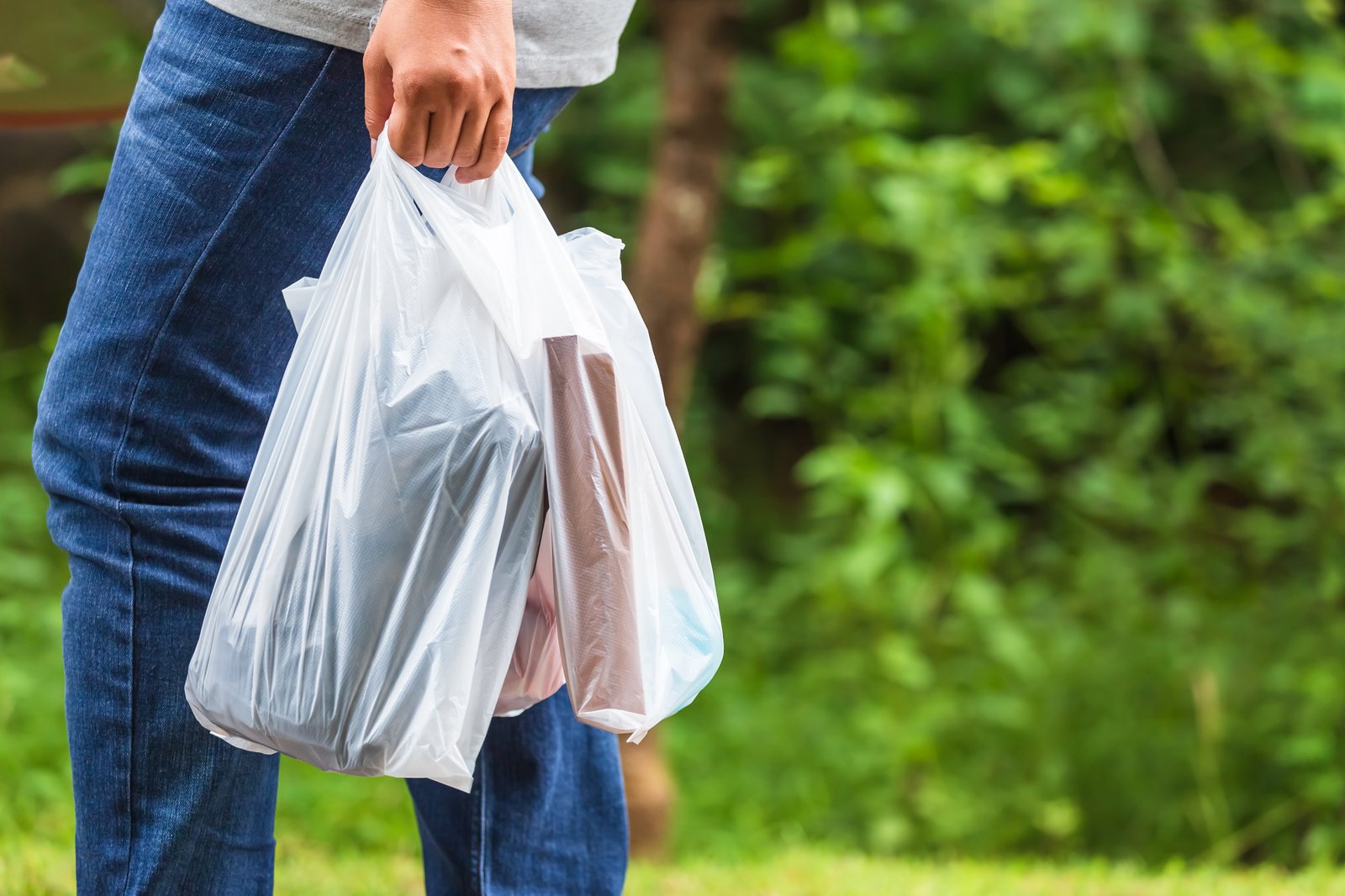 Interdiction de fabriquer, vendre et importer plusieurs types d'articles en plastique à usage unique