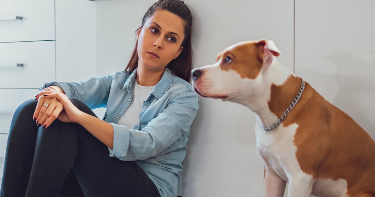 Ça coûte de plus en plus cher d'avoir un chien