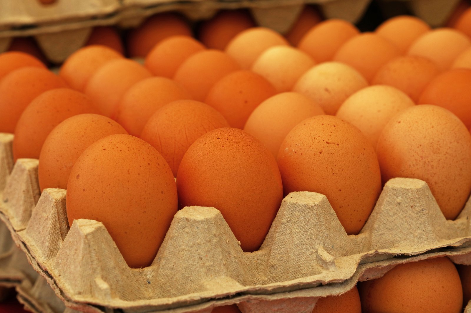 Le prix des oeufs explose à cause de la grippe aviaire