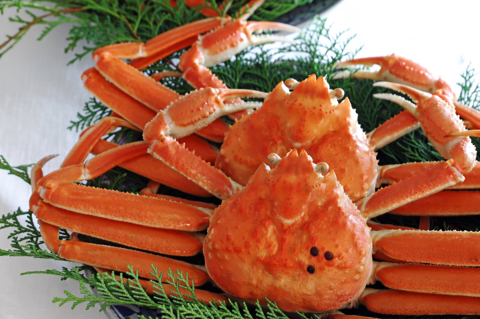 Les Québécois boudent le crabe des neiges en raison de l'augmentation du prix