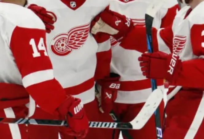 Red Wings mutually part ways with minor-league forward 